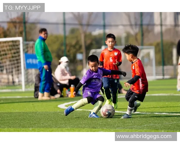 河北精英足球俱乐部:奋力拼搏追逐梦想的青春力量与团队精神