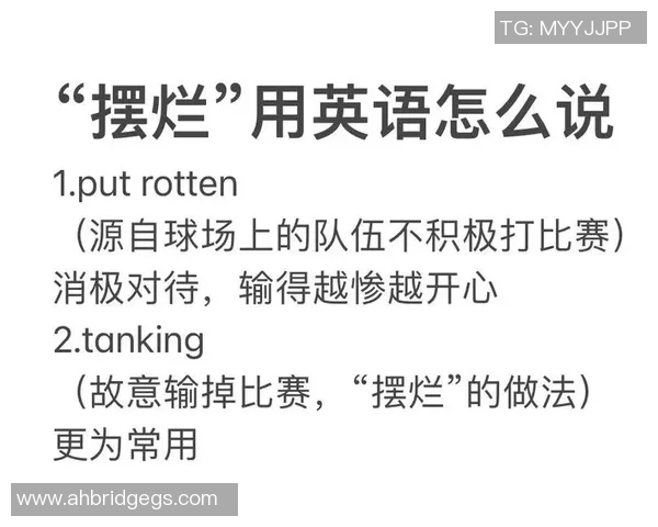 足球场的多种表达方式及其在不同语境中的应用解析 足球场的多种表达方式及其在不同语境中的应用解析