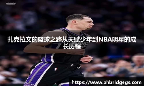 星空综合官网