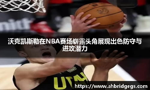 星空综合官网